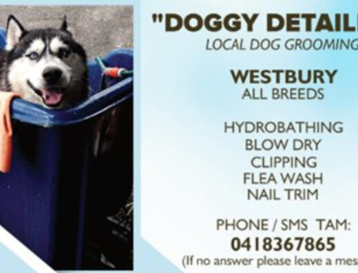 doggy detailing