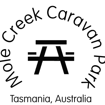 mole creek caravan park